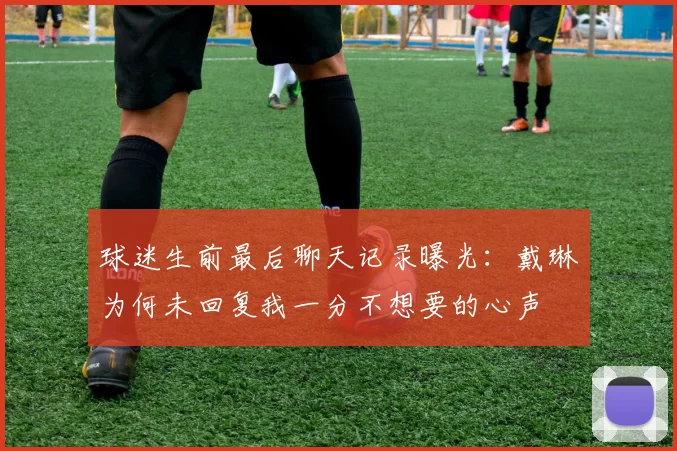 球迷生前最后聊天记录曝光：戴琳为何未回复我一分不想要的心声