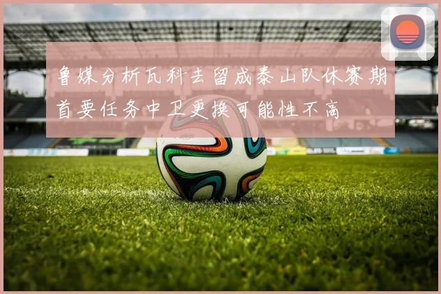 鲁媒分析瓦科去留成泰山队休赛期首要任务中卫更换可能性不高