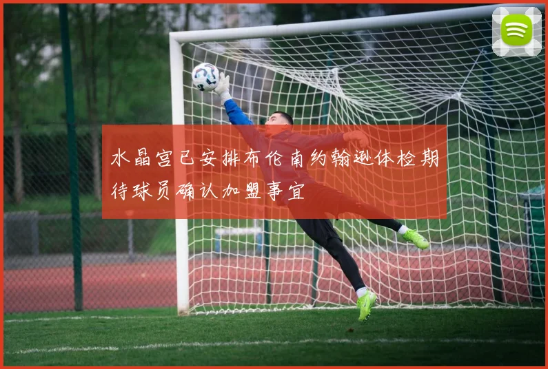 水晶宫已安排布伦南约翰逊体检期待球员确认加盟事宜